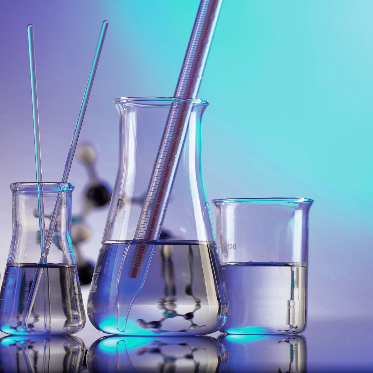What Defines Quality in Functional Mushroom Supplements?