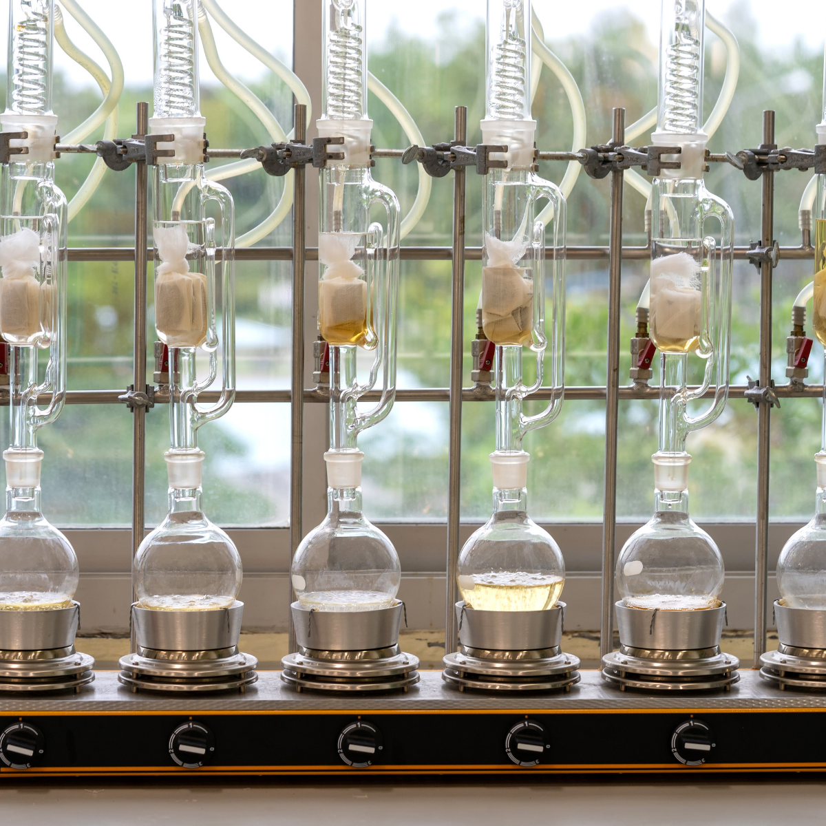 Why Mushroom Extraction Methods Matter