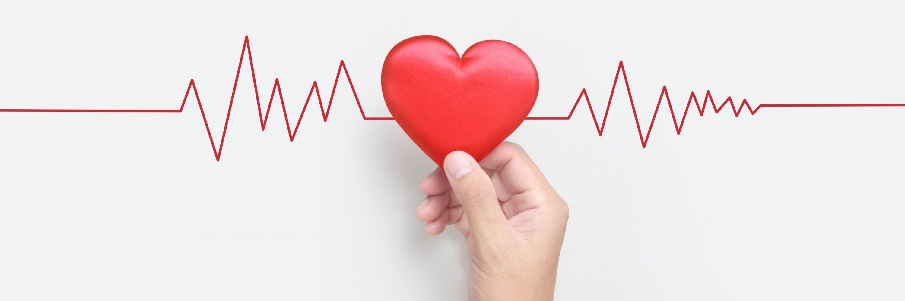 Cardiovascular Support