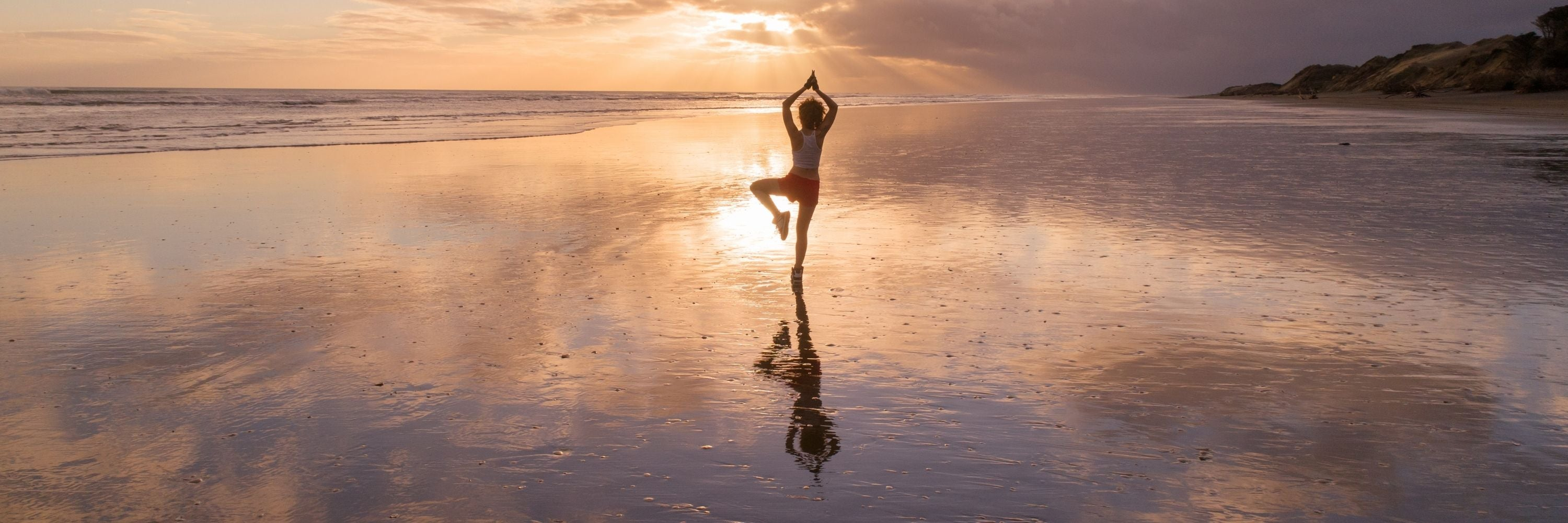 Support for Healthy Aging