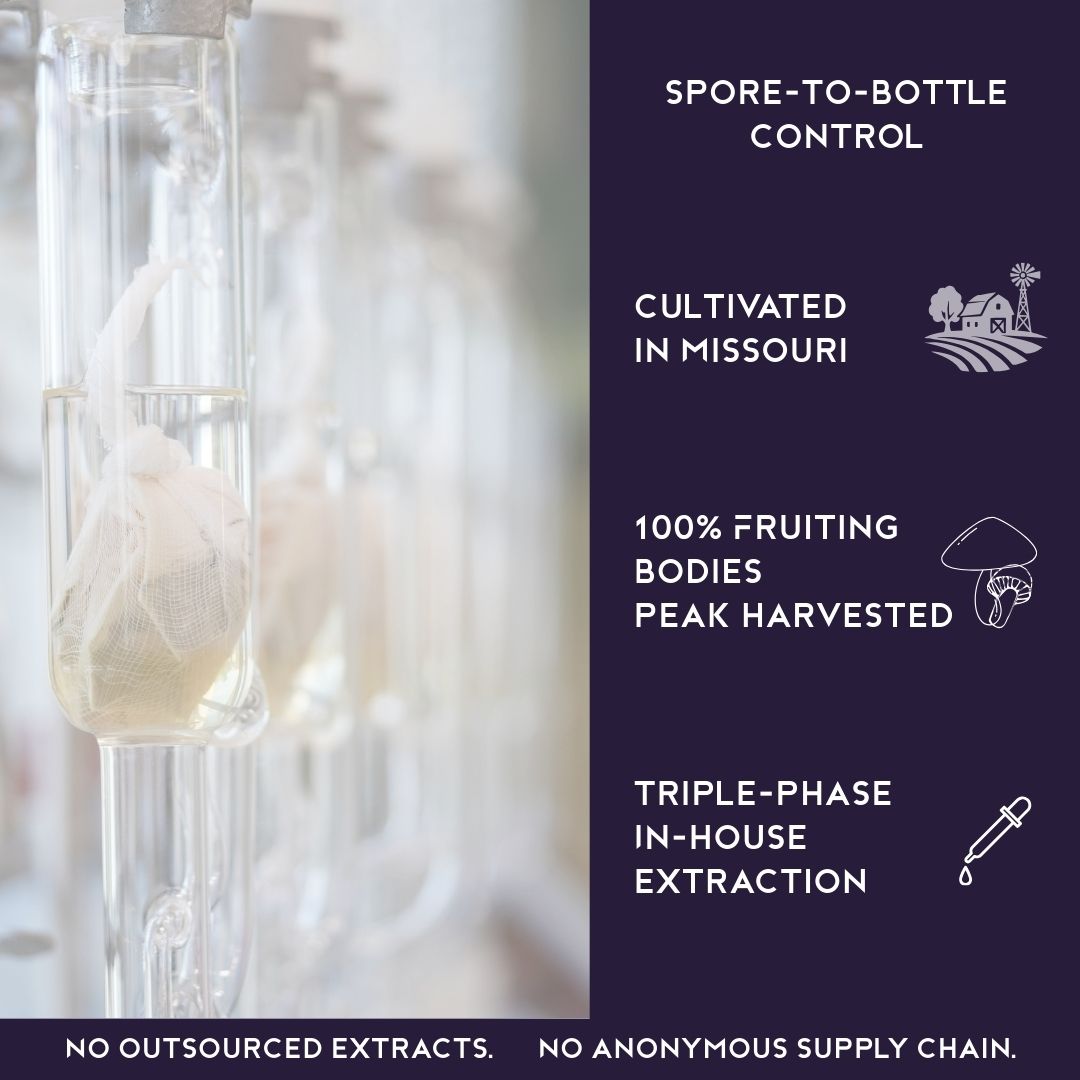 In house cultivated Missouri grown functional mushrooms triple phase extracted with full spore to bottle traceability