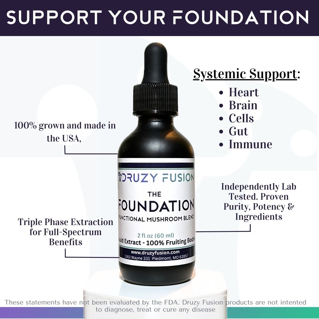 Functional mushroom blend for mental focus energy and stress resilience in high bioavailability liquid extract form