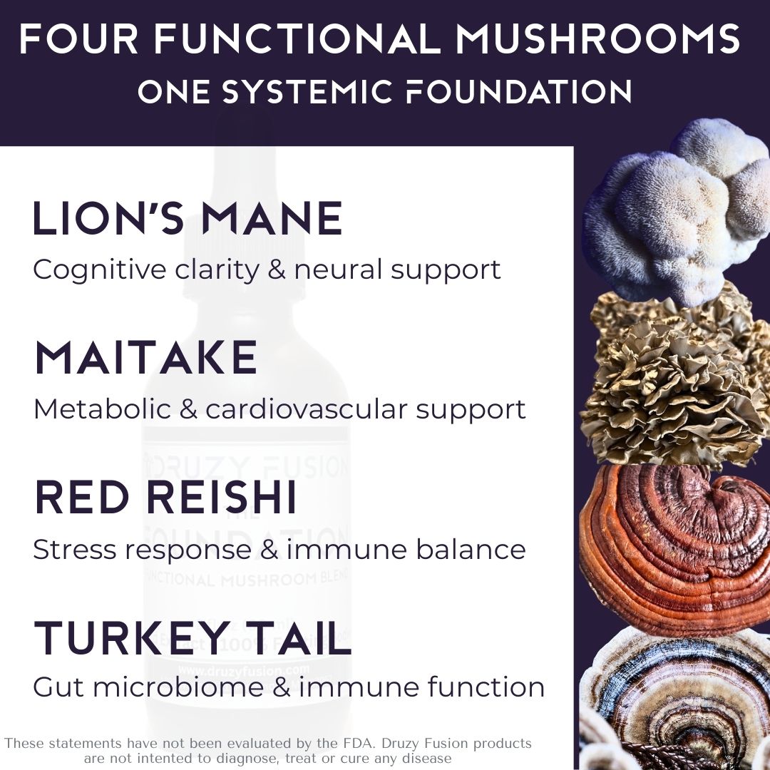 Lion’s mane maitake red reishi and turkey tail mushrooms used in Druzy Fusion The Foundation full spectrum extract