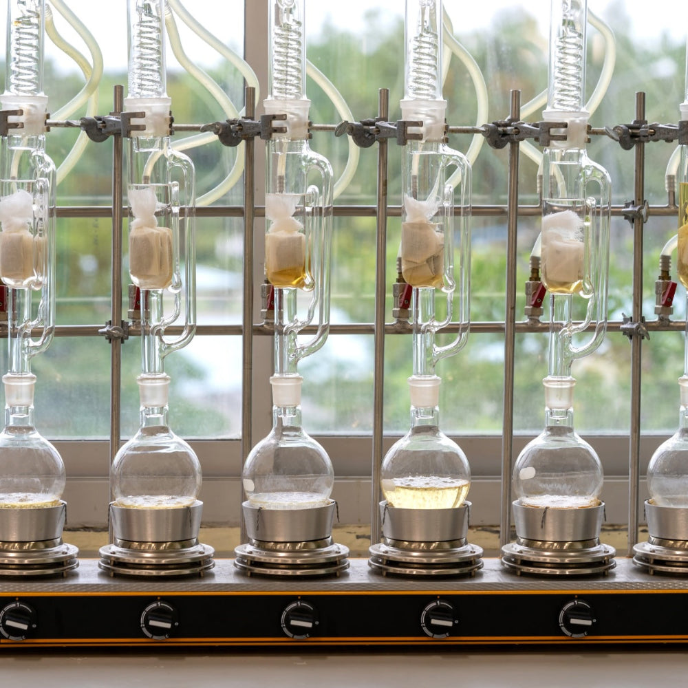 Row of glass extraction equipment for mushroom extraction