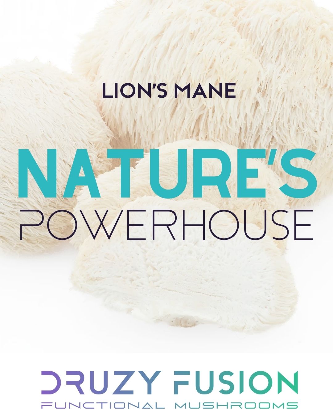 Lion’s Mane Mushroom | Mental Focus