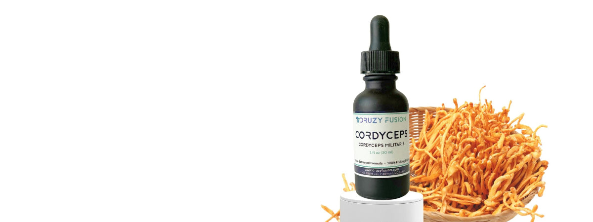 Bottle of Druzy Fusion Cordyceps tincture with a basket of cordyceps fruiting bodies against a white background