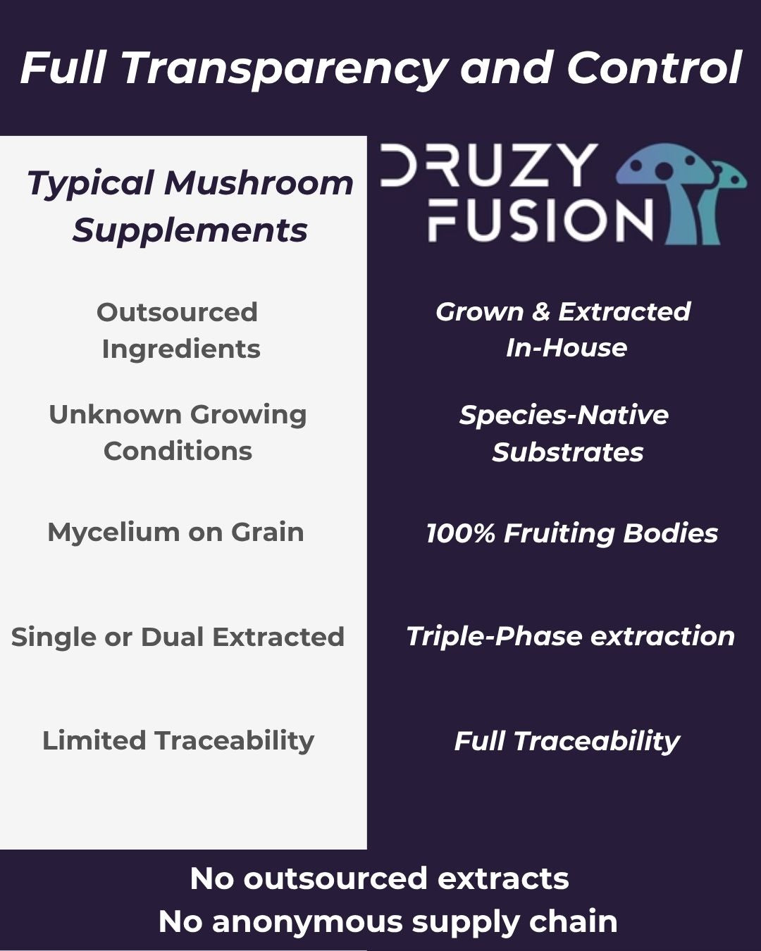 Red Reishi Mushroom - Relaxation, Sleep & Immune Support