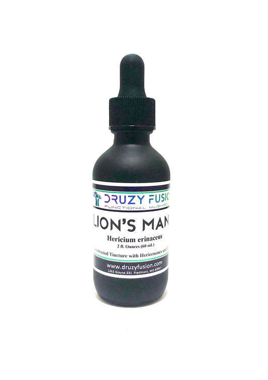 Lion’s Mane Mushroom | Brain, Focus & Nerve Health