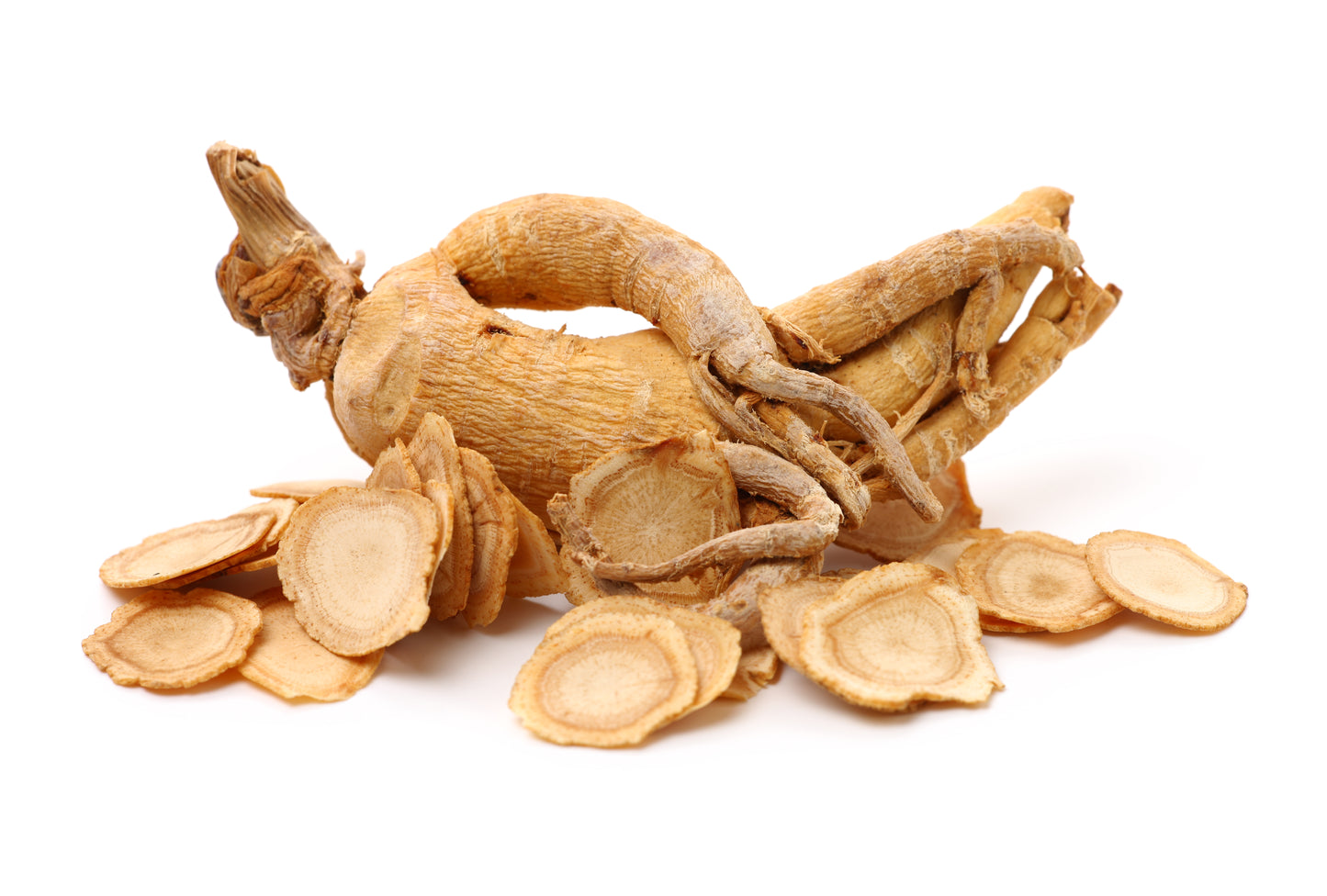 American Ginseng (Panax quinquefolius)