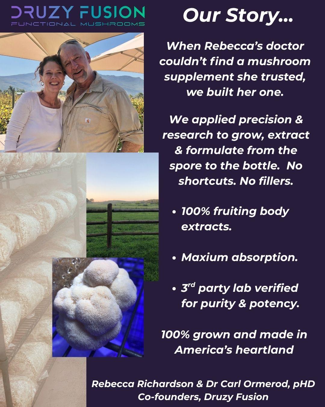 The Mental Fitness Stack - Support Your Brain and Nerves